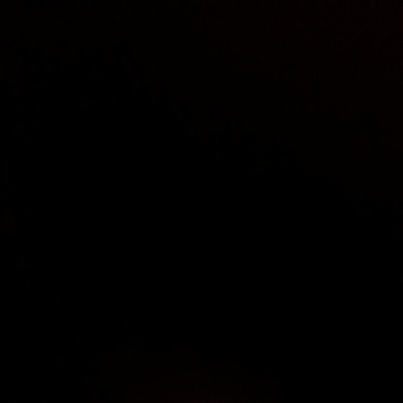 Catégorie 10